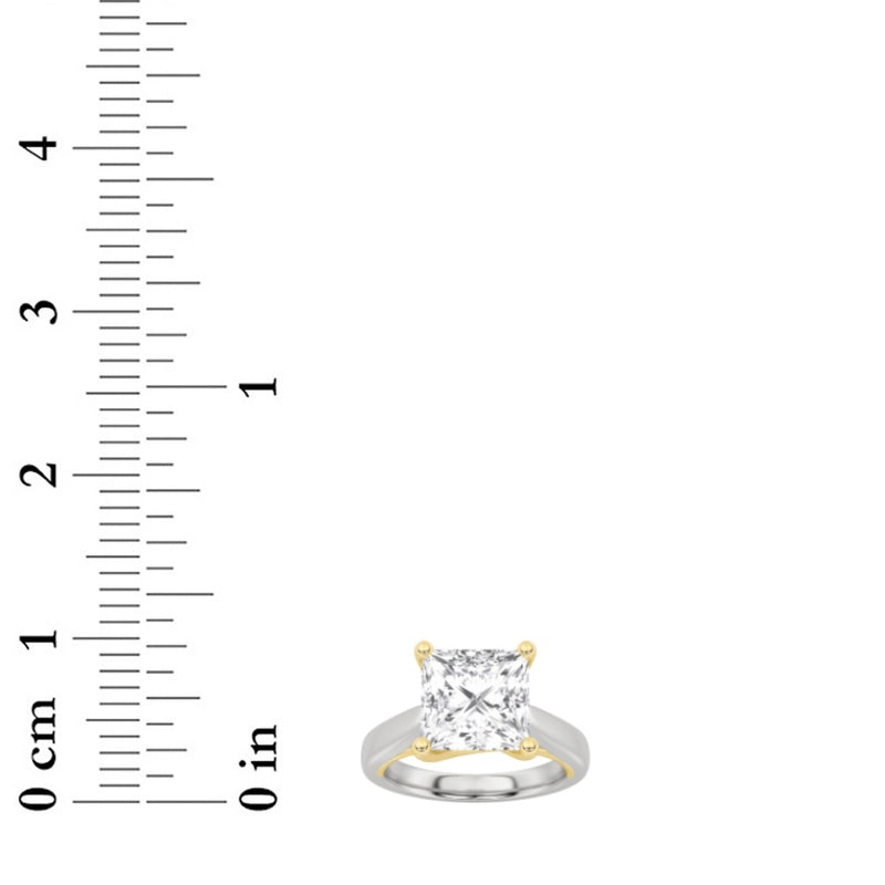 14K White Gold, 14K Yellow Gold Ring KJ00973R.PR-2-24F
