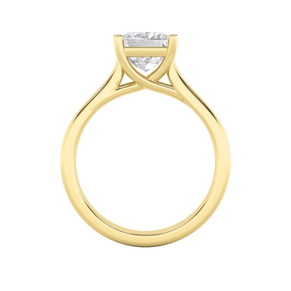 3CTW Princess Shaped Lab Grown Diamond (F/VS) Plain Cathedral Trellis Shank Solitaire Engagement Ring in 14K Gold