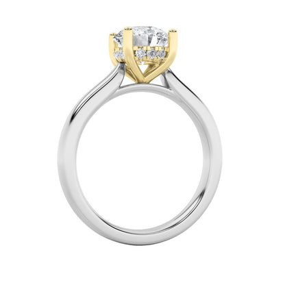 3CTW Round Shaped Lab Grown Diamond (F/VS) Hidden Halo Cathedral Shank Engagement Ring in 14K Gold
