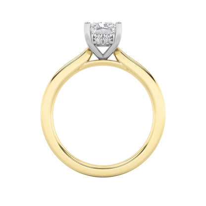 3CTW Radiant Shaped Lab Grown Diamond (F/VVS) Hidden Halo Cathedral Shank Engagement Ring in 14K Gold
